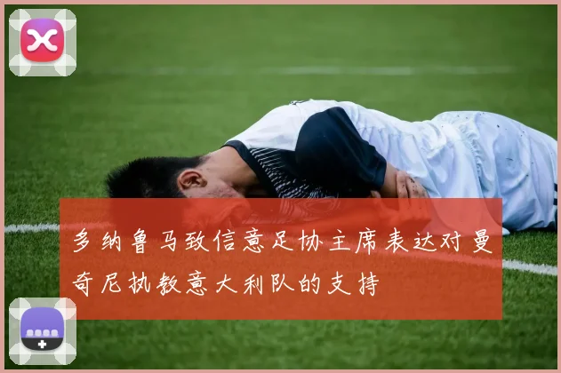 多纳鲁马致信意足协主席表达对曼奇尼执教意大利队的支持
